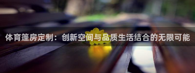 体育篷房定制：创新空间与品质生活结合的无