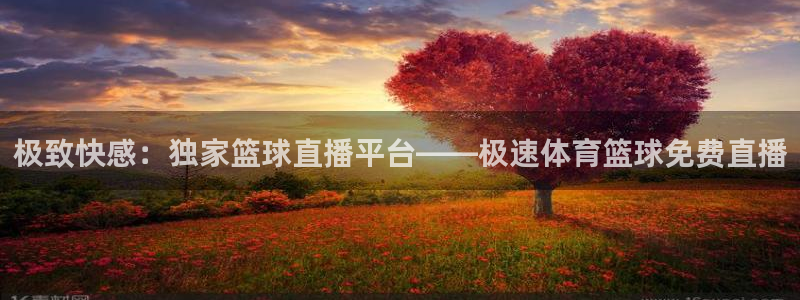 极致快感：独家篮球直播平台——极速体育篮