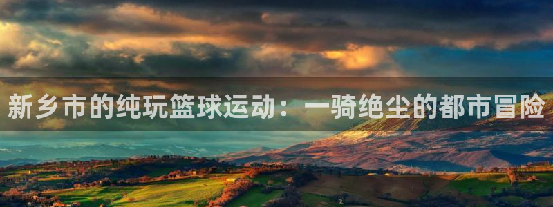 网球雷速体育比分
