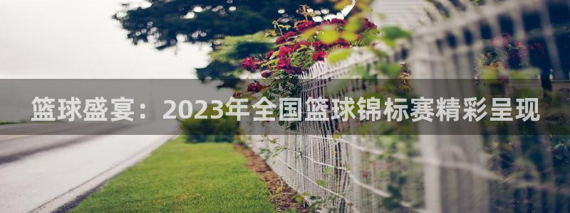 雷速体育比分 篮球